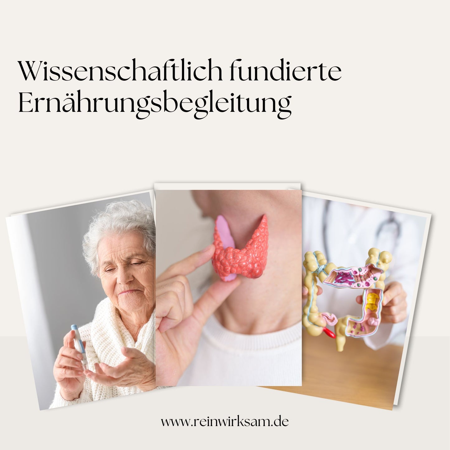 Ganzheitliches Ernährungskonzept